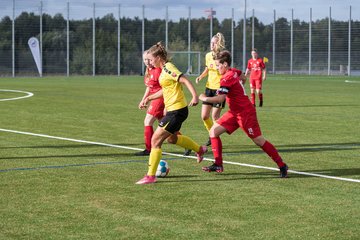 Bild 217 - F Oberliga Saisonstart